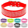 Hundehalsband aus Leder Bling Strass Hundehalsband for klein Mittel Groß Hunde