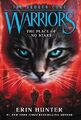 Warriors: Der gebrochene Code #5: Der Ort ohne Sterne, Erin Hunter-