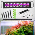 30-115cm RGB LED Aquarium mit Timer Lampe Süßwasserfische Vollspektrum Licht