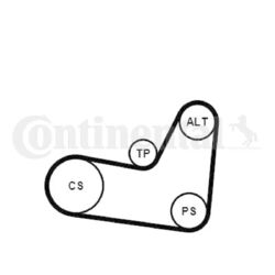 CONTINENTAL CTAM Keilrippenriemen Spannrolle Umlenkrolle 6PK1070K2