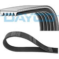 Dayco 5PK1435 Keilrippenriemen für VW AUDI SKODA Treibriemen Längsrippen