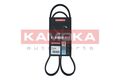 KAMOKA Keilrippenriemen 7015036 für RENAULT CLIO 2 THALIA 1 SCÉNIC JA0 KANGOO 6