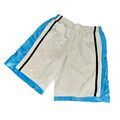 Selten Vintage Champion C9 Basketball Shorts Blenden Glänzend Netz Weiß Blau M