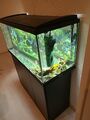 aquarium komplett mit unterschrank gebraucht