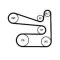 CONTINENTAL CTAM 6PK1693K1 Keilrippenriemensatz für AUDI SEAT SKODA VW