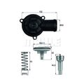 Thermostat, Kühlmittel MAHLE TI 220 87D BEHR für AUDI SEAT SKODA VW VAG CUPRA