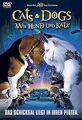 Cats  Dogs - Wie Hund und Katz von Lawrence Guterman | DVD | Zustand sehr gut