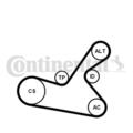 CONTINENTAL CTAM Keilrippenriemensatz für Peugeot 307 3A/C 3H 3E Citroën C2 JM_