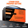 LiFePO4 100Ah 12V Solarbatterie Lithium Batterie Akku Wohnmobil Solar Boot USV