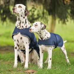 Hunde Regendecke wasserdicht Hundejacke mit Fleece Gr 35-65 cm Hundemantel blau