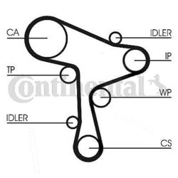 CONTINENTAL CTAM Wasserpumpe + Zahnriemensatz CT1168WP5 für SKODA VW