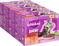 Whiskas Junior Katzennassfutter Klassische Auswahl in Sauce 12x85g 4er Pack
