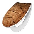 Premium WC-Sitz mit Klobrille Absenkautomatik Toilettendeckel Trockenes Holz