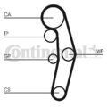 CONTINENTAL CTAM (CT1028WP1) Wasserpumpe+Zahnriemensatz für AUDI SEAT VW