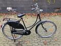 GEPFL.KLASSIKER BEKLI HOLLAND DAMEN FAHRRAD NOSTALGIE 28 ZOLL RH 56 CM  3 GANG