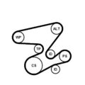 Keilrippenriemensatz Continental CTAM 6PK2080K1 für BMW