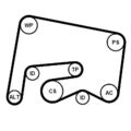 CONTINENTAL CTAM Keilrippenriemensatz 6PK2155K1 für MERCEDES-BENZ