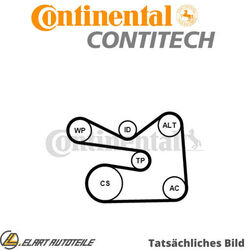 DER KEILRIPPENRIEMENSATZ FÜR VW SKODA SEAT AUDI EOS 1F7 1F8 BLF CONTINENTAL CTAM