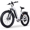 ebike 1000W Elektrofahrrad Damen 26 Zoll City Bike Samsung 17.5AH E-Mountainbike