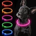 LED Leuchthalsband Hunde Halsband Zuschneidbar Blinklicht USB Wiederaufladbar DE
