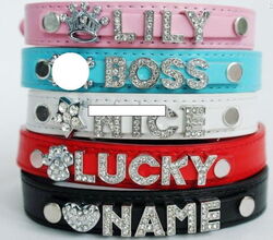 HUNDEHALSBAND mit NAME STRASS BUCHSTABEN HALSBAND HUND Katzenhalsband Tier Namen