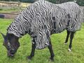 Zebra Fliegendecke für Pferde, 155 cm, mit Halsteil/Bauchlatz, luftdurchlässig