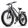 E Mountainbike 26 Zoll Elektrofahrrad 48V20AH Akku City eBike 1000W Moped E-MTB