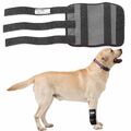 Hunde Sport Vorderlauf Bandage / Stützbandage für Hunde Sport von Nature Pet