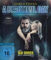 A Beautiful Day (Blu-ray)