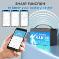 Bluetooth Lithium Batterie 12V 135Ah LiFePO4 Smart Akku Wohnmobil 20,000+ Zyklen