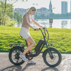 20 Zoll E-Bike Moped E Mountainbike 48V 15Ah Elektrofahrrad 25km/h City ebike