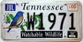 Tennessee USA Nummernschild Motiv Vogel Wildlife License Plate US Kennzeichen W1