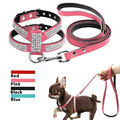 Katze Hundegeschirr Strass Leder Brustgeschirr Welpen Soft Geschirr mit Leine