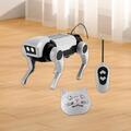 Roboterhund Geschenk DIY Puzzle Spielzeug mechanischer Welpe für Jungen