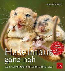 Haselmaus ganz nah