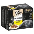 Sheba DELIKATESSE Katzennassfutter mit feiner GEFLÜGELAUSWAHL in Gelee 96 x 85 g