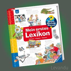 WIESO? WESHALB? WARUM?: MEIN ERSTES LEXIKON | Schauen - Klappen - Staunen