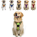 Hundegeschirr Hunde Brustgeschirr gepolstert Nylon verstellbar Größe S/M/L/XL