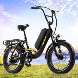 Trekking eBike 750W E Mountainbike  20 Zoll Elektrofahrrad 48V 15AH eBike