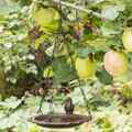  Vogeltränke zum Aufhängen 20,5 cm Braun Vogelbad Hängend Futterstation HI