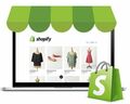 Wir designen deinen Shopify Shop in ein professionellen Shop um NEU!