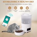 Katze Hunde Futterautomat Futterspender Trockenfutterspender Feeder 3L WIFI APP