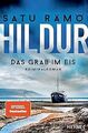 Hildur – Das Grab im Eis: Kriminalroman (Die Hildur-Reih... | Buch | Zustand gut