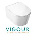 Wand-WC Hänge-WC PowerFlush spülrandlos VIGOUR WHITE & WC-Sitz SoftClose TakeOff