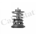 CALORSTAT by Vernet Thermostat für BMW 1 3 X1 2 4 5 X2 