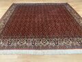 6195 Schöner feiner Bidjar Kork "TOP" 205x200cm Orientteppich Tappeto Carpet Rug