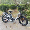 20 Zoll Elektrofahrrad eBike E Mountainbike 750W 48V30AH Citybike Fatbike 45km/h