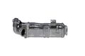 NRF Kühler Abgasrückführung 48366 für BMW F33 F10 F11 F30 F20 F07 F26 X5 X6 X3