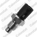 Calorstat by Vernet Ws2508 Sensor Kühlmitteltemperatur für Renault 1981-1996