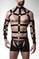 GREY VELVET MEN 4 - teiliges Harness Set 2XL - 3XL